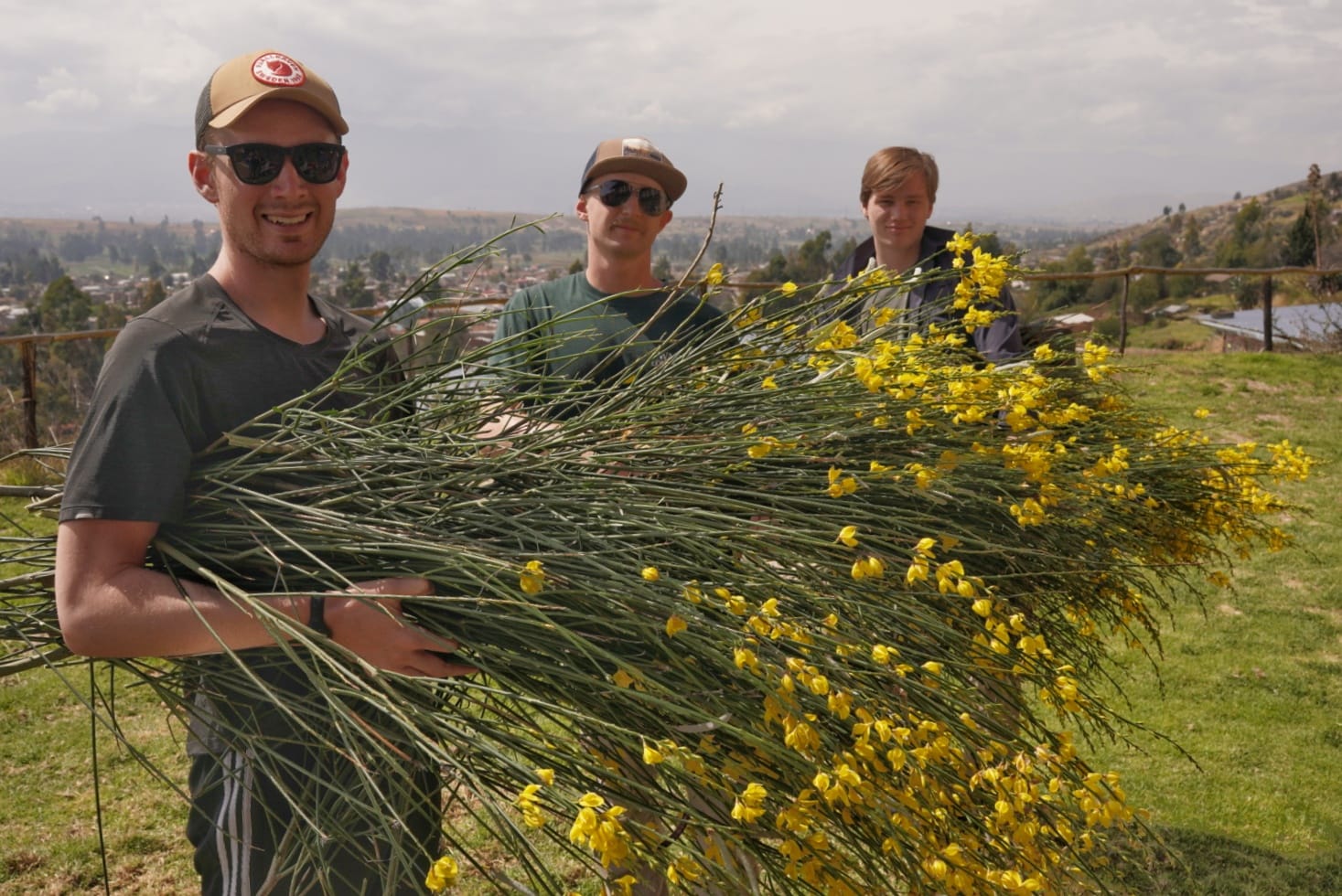Gathering Local herbs
