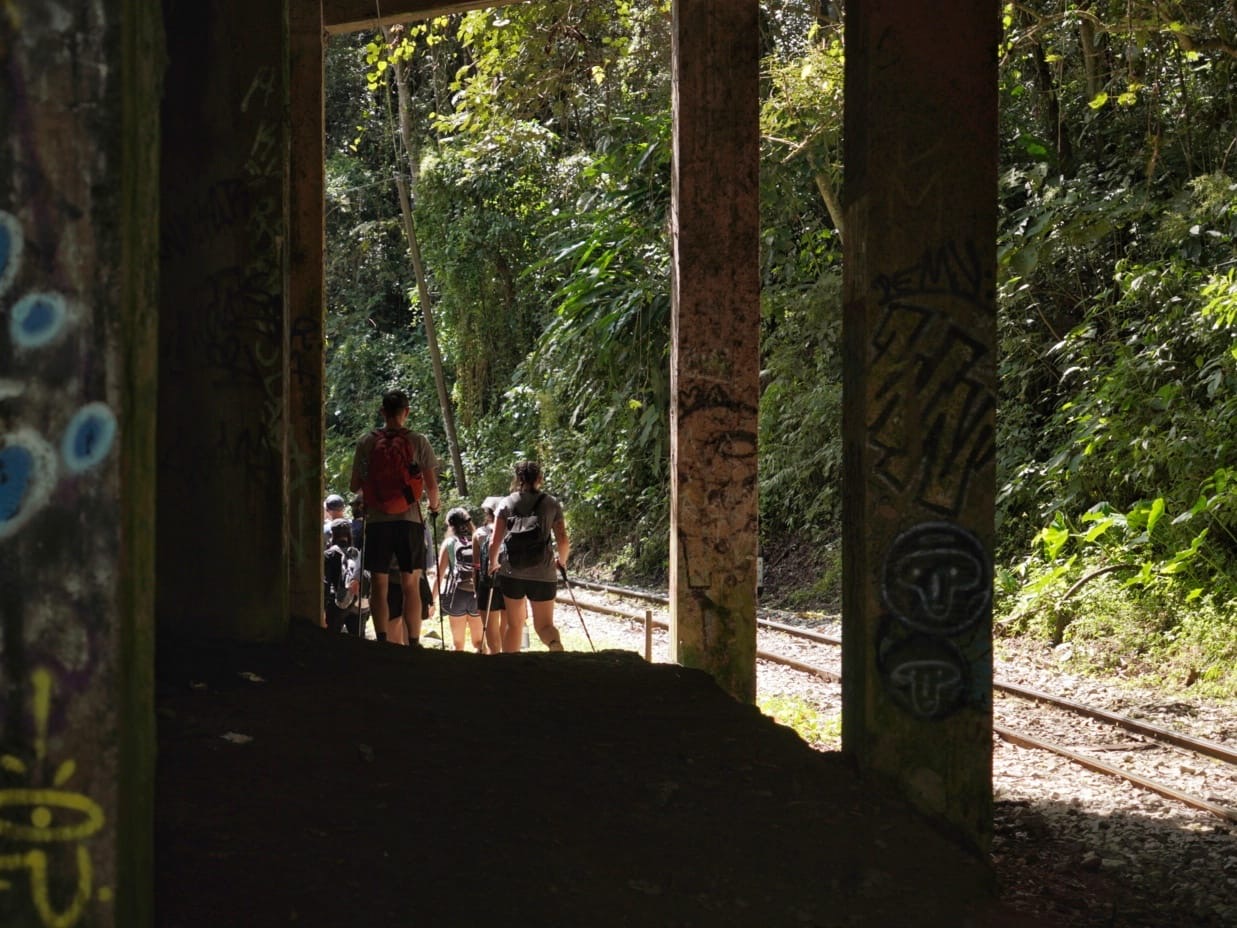 Along the tracks